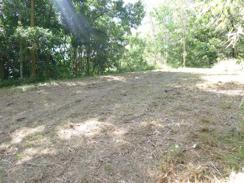 21 Mowbray River Road, Mowbray QLD 4877