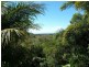 21 Mowbray River Road, Mowbray QLD 4877