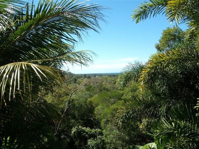 21 Mowbray River Road, Mowbray QLD 4877