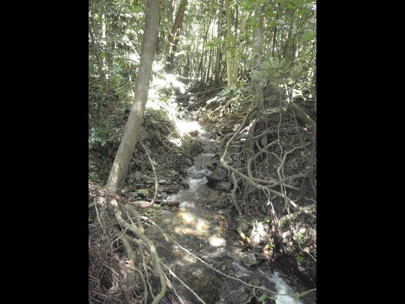 55 McClelland Road  Killaloe, Port Douglas QLD 4877