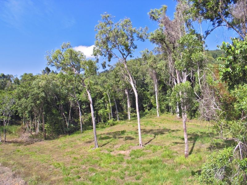 55 McClelland Road  Killaloe, Port Douglas QLD 4877