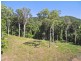 55 McClelland Road  Killaloe, Port Douglas QLD 4877