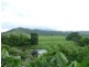 Lot 1 Upper Daintree Rd, Daintree QLD 4873