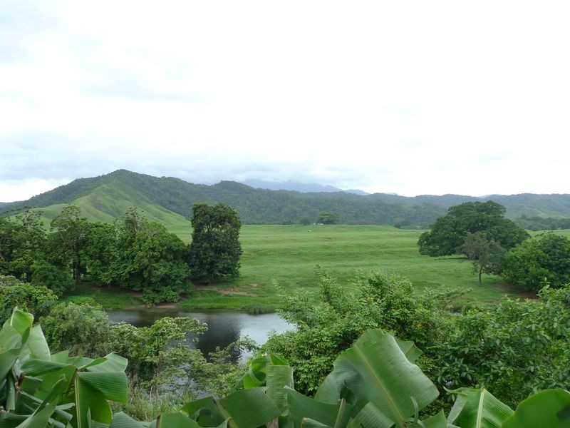 Lot 1 Upper Daintree Rd, Daintree QLD 4873