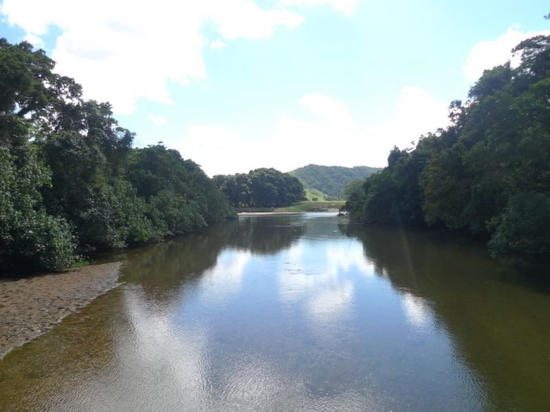 Lot 1 Upper Daintree Rd, Daintree QLD 4873