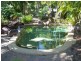 1 Ibis Court, Port Douglas QLD 4877