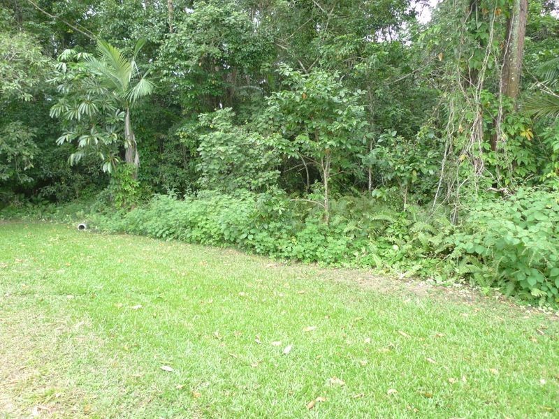 4 Pringle Street, Mossman QLD 4873