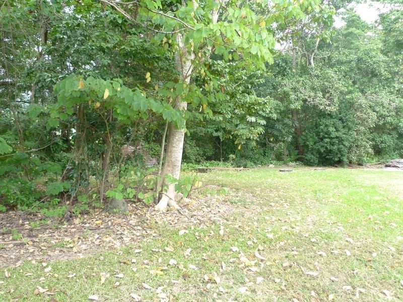 4 Pringle Street, Mossman QLD 4873