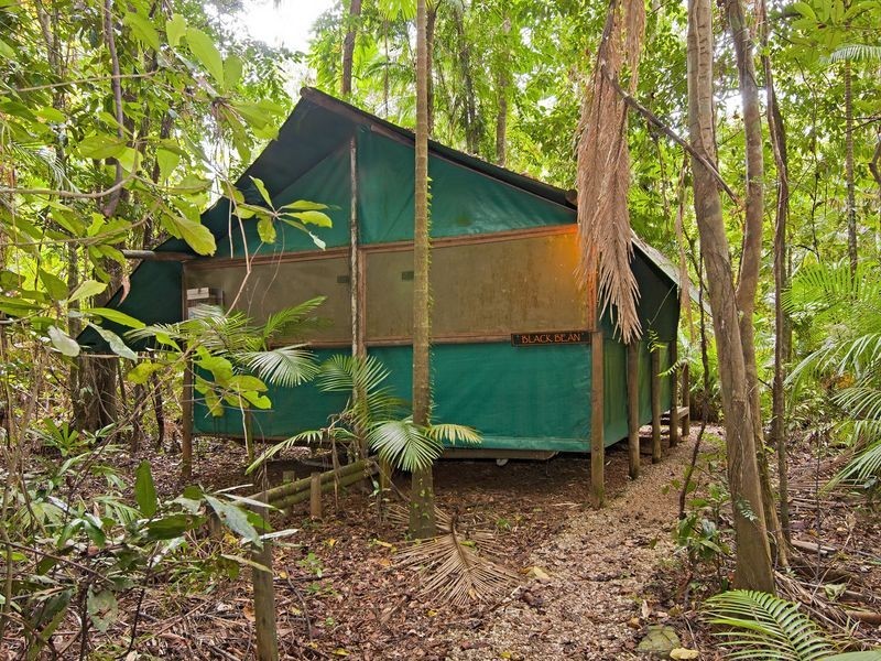 . Crocodylus Village Resort, Cow Bay QLD 4873