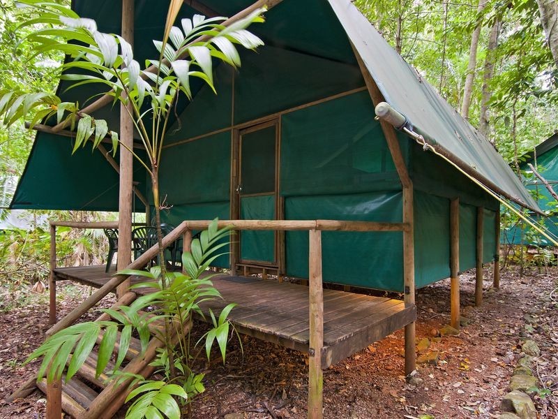 . Crocodylus Village Resort, Cow Bay QLD 4873