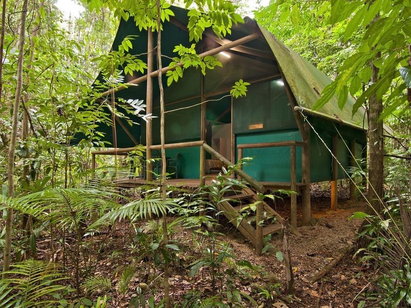 . Crocodylus Village Resort, Cow Bay QLD 4873