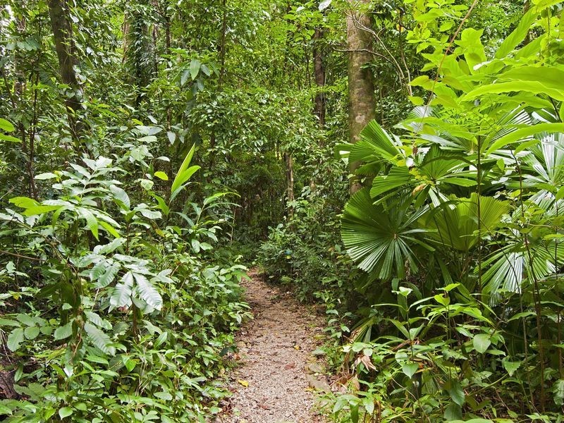 . Crocodylus Village Resort, Cow Bay QLD 4873