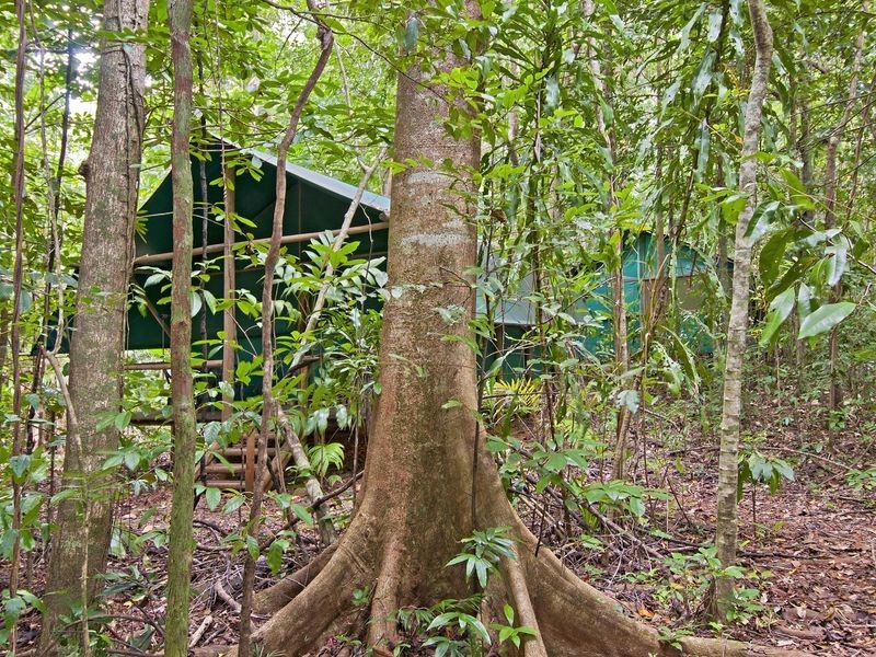 . Crocodylus Village Resort, Cow Bay QLD 4873