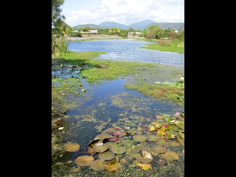 5 The Lake Estate/5 Old Port Road, Port Douglas QLD 4877