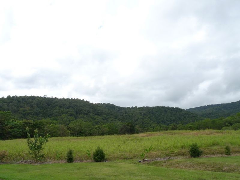 6 Thomson Low Drive, Cape Tribulation QLD 4873