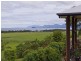 2 Seaview Court, Cape Tribulation QLD 4873