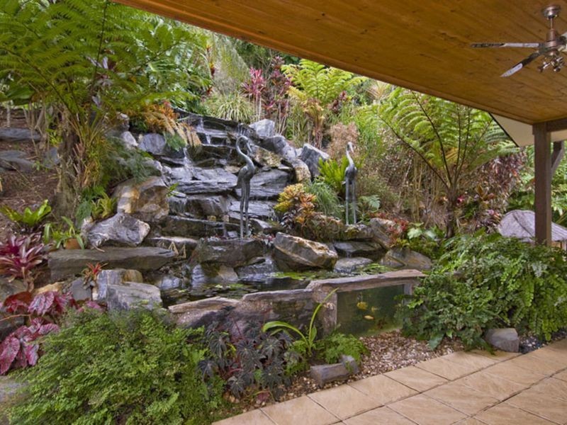 2 Seaview Court, Cape Tribulation QLD 4873