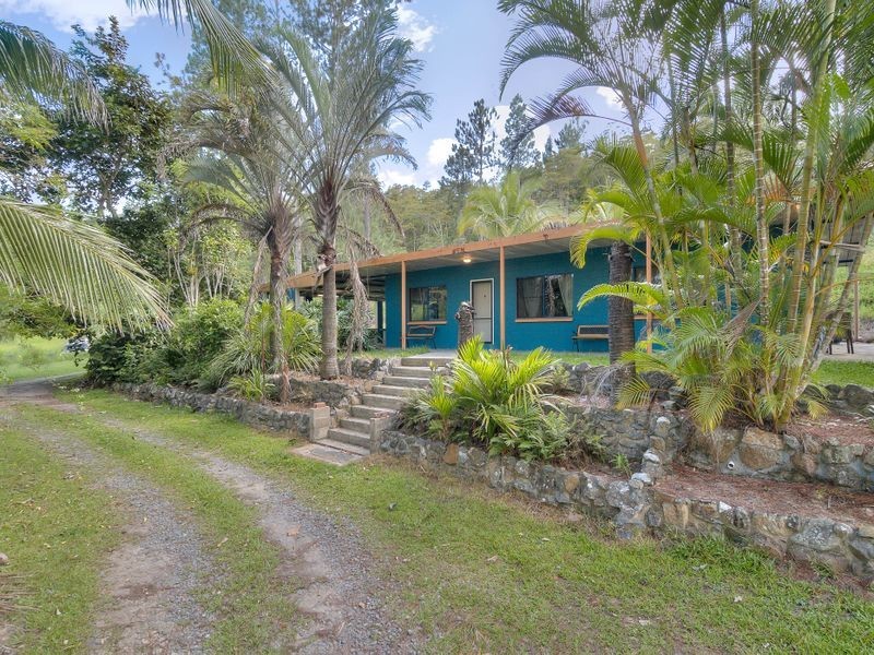 143 Mt Lewis Road, Julatten QLD 4871