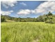 143 Mt Lewis Road, Julatten QLD 4871