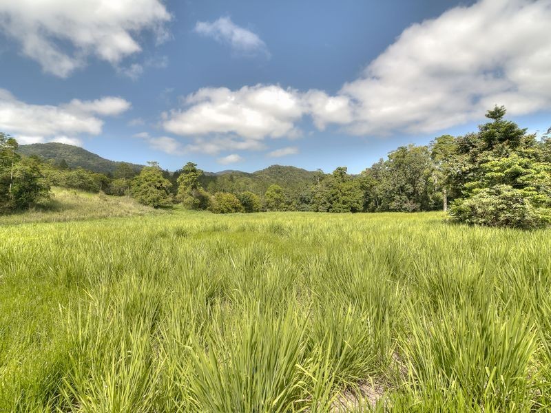 143 Mt Lewis Road, Julatten QLD 4871