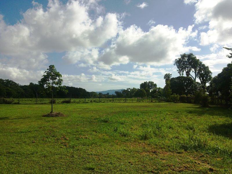 20 Bowman Close, Cape Tribulation QLD 4873