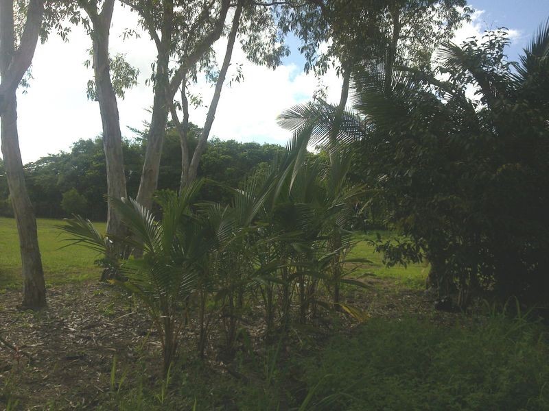 20 Bowman Close, Cape Tribulation QLD 4873