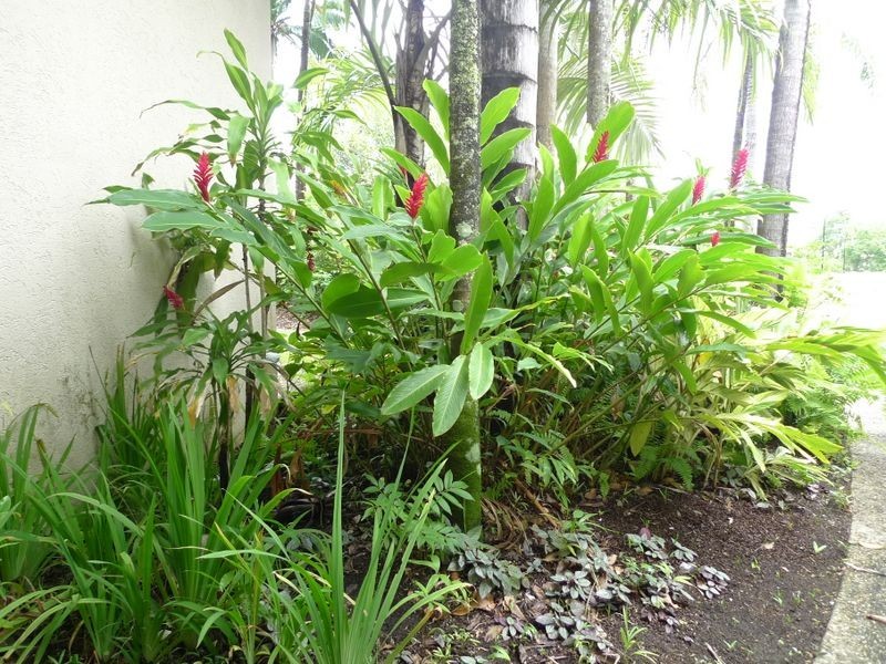 154 Rendezvous, Port Douglas QLD 4877