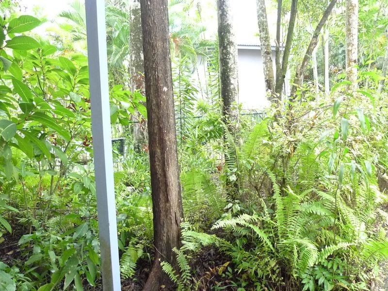 154 Rendezvous, Port Douglas QLD 4877