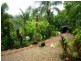 74 Spring Creek Road, Mowbray QLD 4877