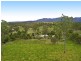 95 McLean Bridge Road, Julatten QLD 4871