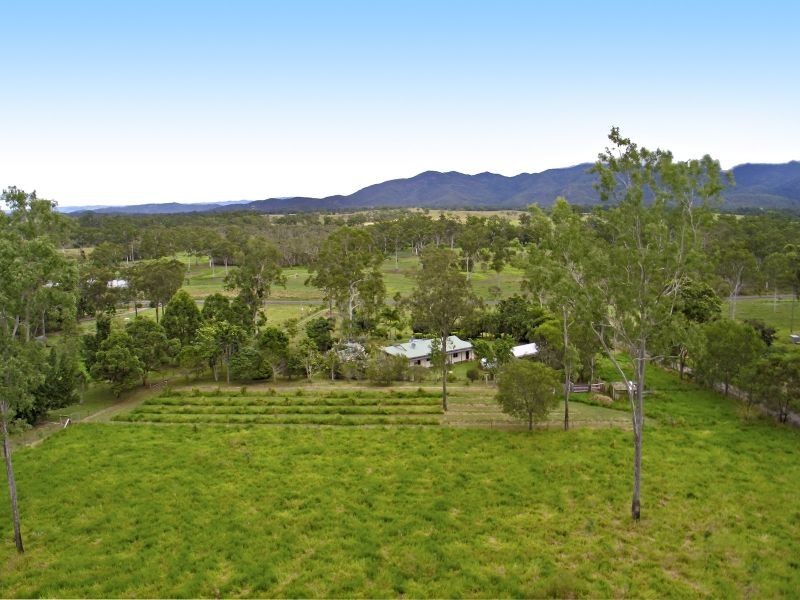 95 McLean Bridge Road, Julatten QLD 4871