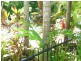 34 Mandalay Apartments, Port Douglas QLD 4877