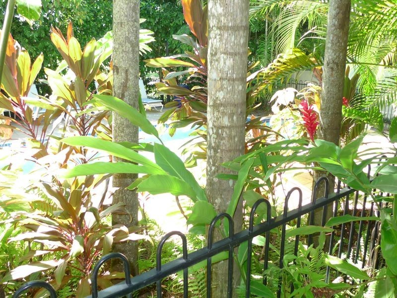 34 Mandalay Apartments, Port Douglas QLD 4877