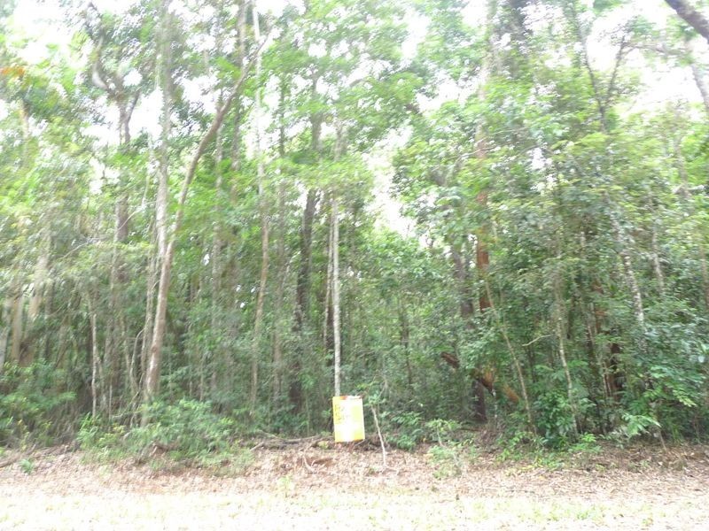 189 Bloodwood Road, Cow Bay QLD 4873