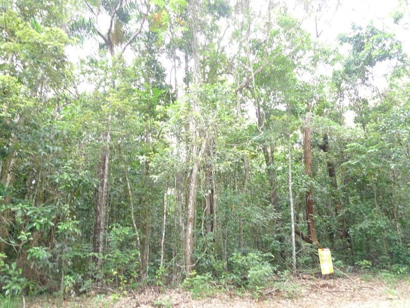 189 Bloodwood Road, Cow Bay QLD 4873