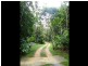 193 Stonewood Road, Cape Tribulation QLD 4873