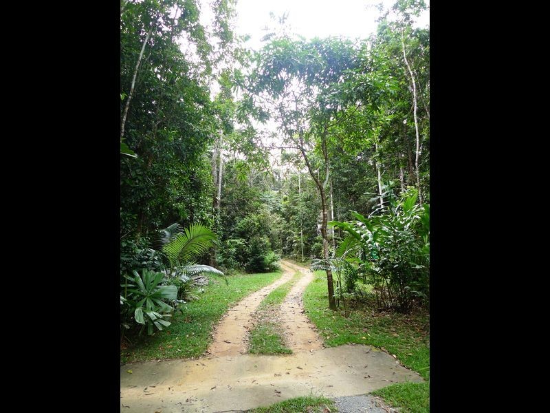 193 Stonewood Road, Cape Tribulation QLD 4873