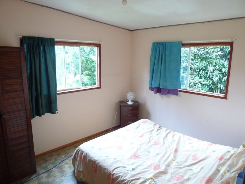 193 Stonewood Road, Cape Tribulation QLD 4873