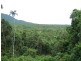 193 Stonewood Road, Cape Tribulation QLD 4873