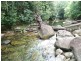 193 Stonewood Road, Cape Tribulation QLD 4873