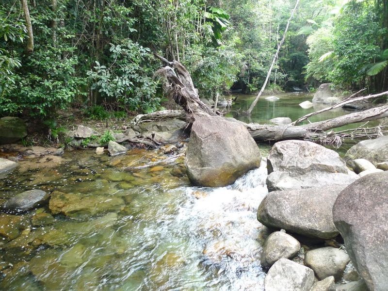 193 Stonewood Road, Cape Tribulation QLD 4873