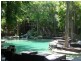 C224 Treetops Resort, Port Douglas QLD 4877