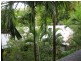 C320 Treetops Resort, Port Douglas QLD 4877
