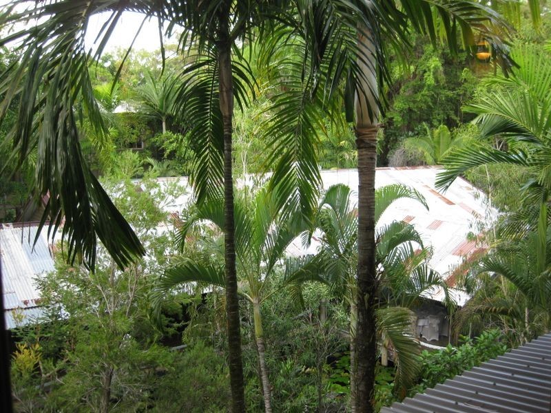C320 Treetops Resort, Port Douglas QLD 4877