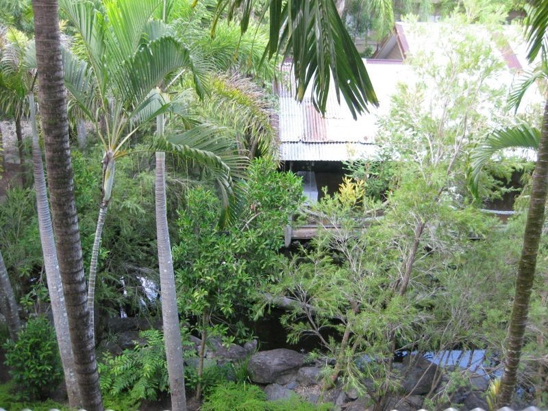 C320 Treetops Resort, Port Douglas QLD 4877