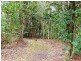 25 Rainforest Drive, Julatten QLD 4871