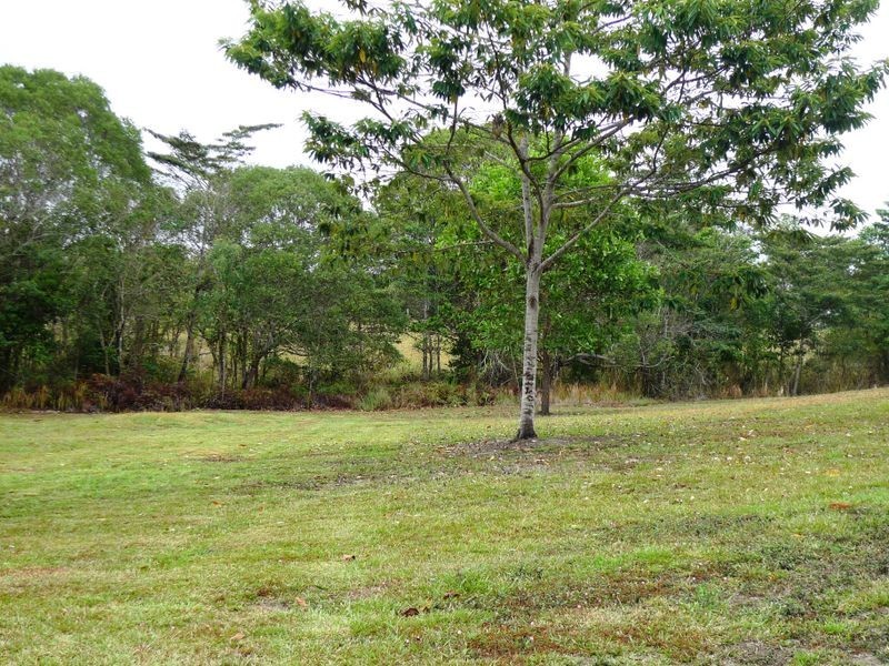 25 Rainforest Drive, Julatten QLD 4871