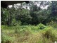 Lot 40 Ronald Road Forest Creek, Daintree QLD 4873