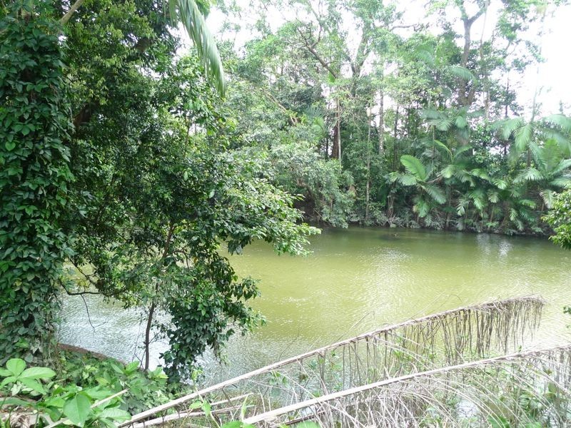 41 Mossman Street, Mossman QLD 4873