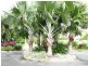 Lot/17 The Sands, Port Douglas QLD 4877